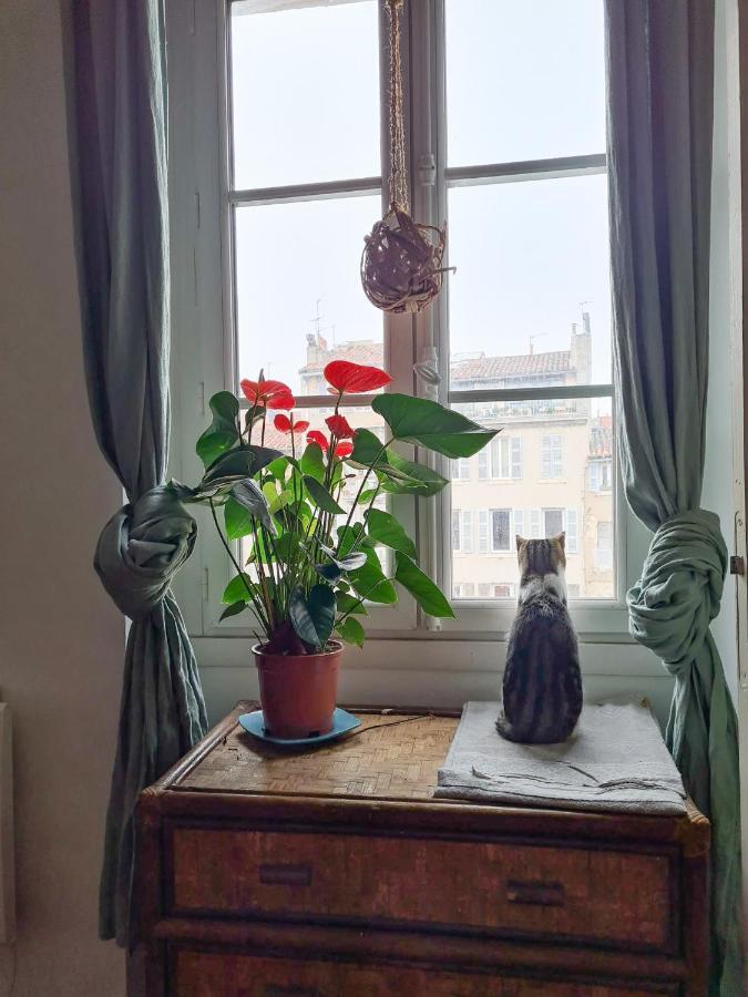 Homestay Jolie Dans Cosy En Plein Centre Marseille